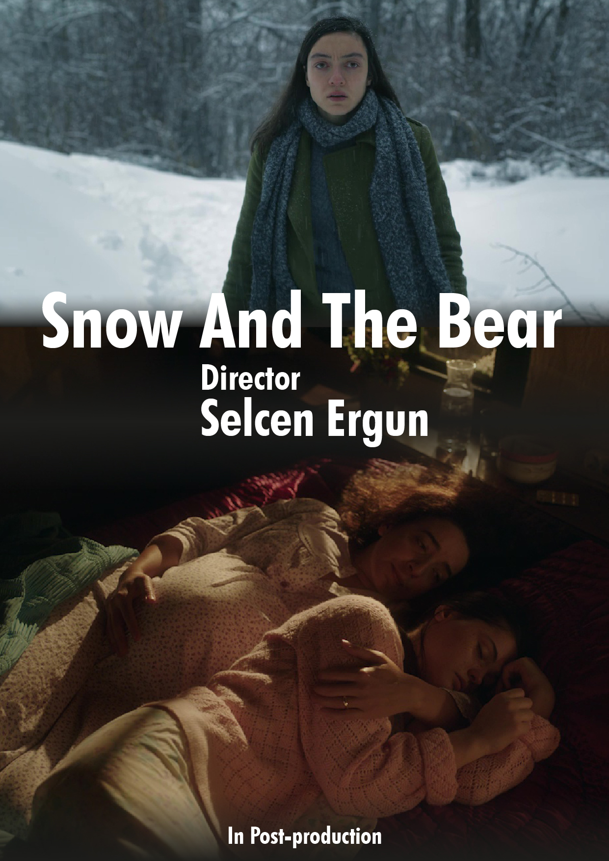 Snow And The Bear